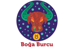 boga-burcu-ertan