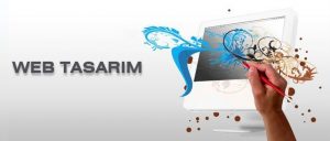 web_tasarim